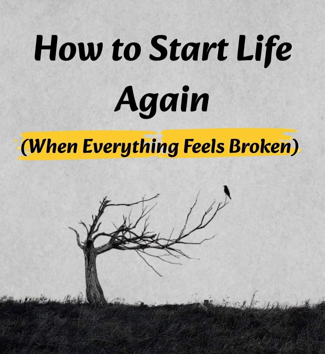 PhilosophyMonk's tweet photo. How to Start Life Again

(When Everything Feels Broken)

- thread 🧵 https://t.co/XGsMoY7lZN