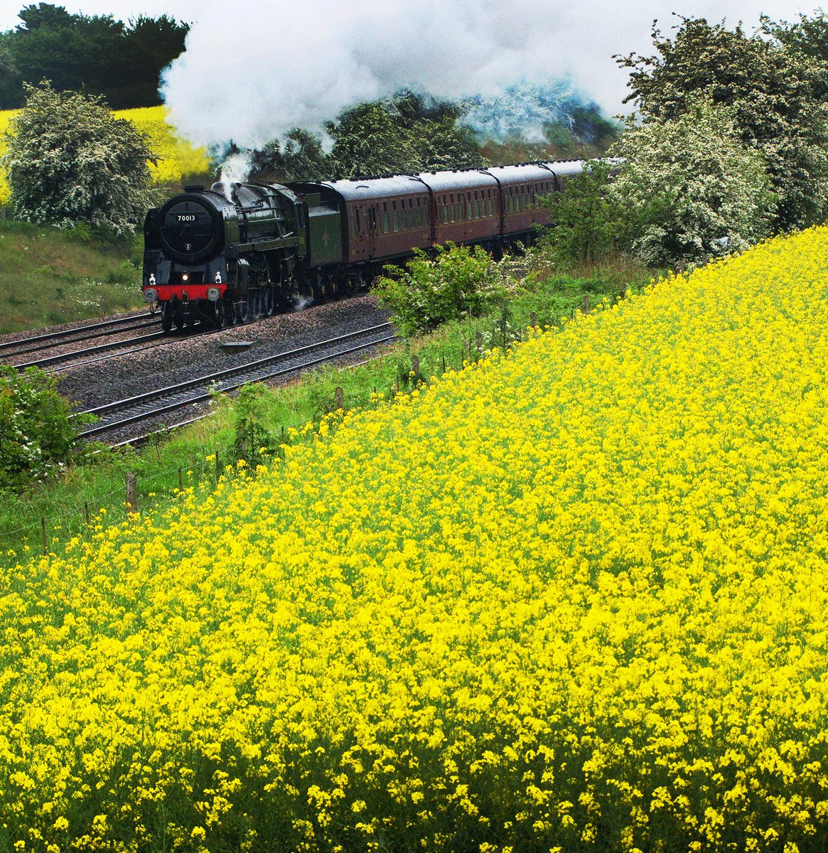 mikespencerpics's tweet image. One from the 'Film Show' folder today!
Springtime, and 'Oliver Cromwell' is here passing Cossington North of Leicester in May 2011, with a Northbound excursion of which I have no details to hand I'm afraid.
@RailwayMagazine 
#leicestershire
#springtime