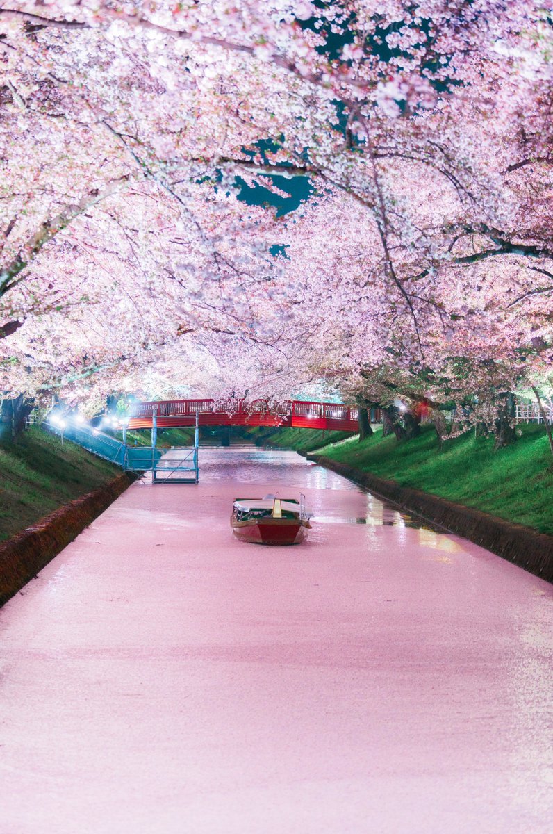 はるはら tweet media