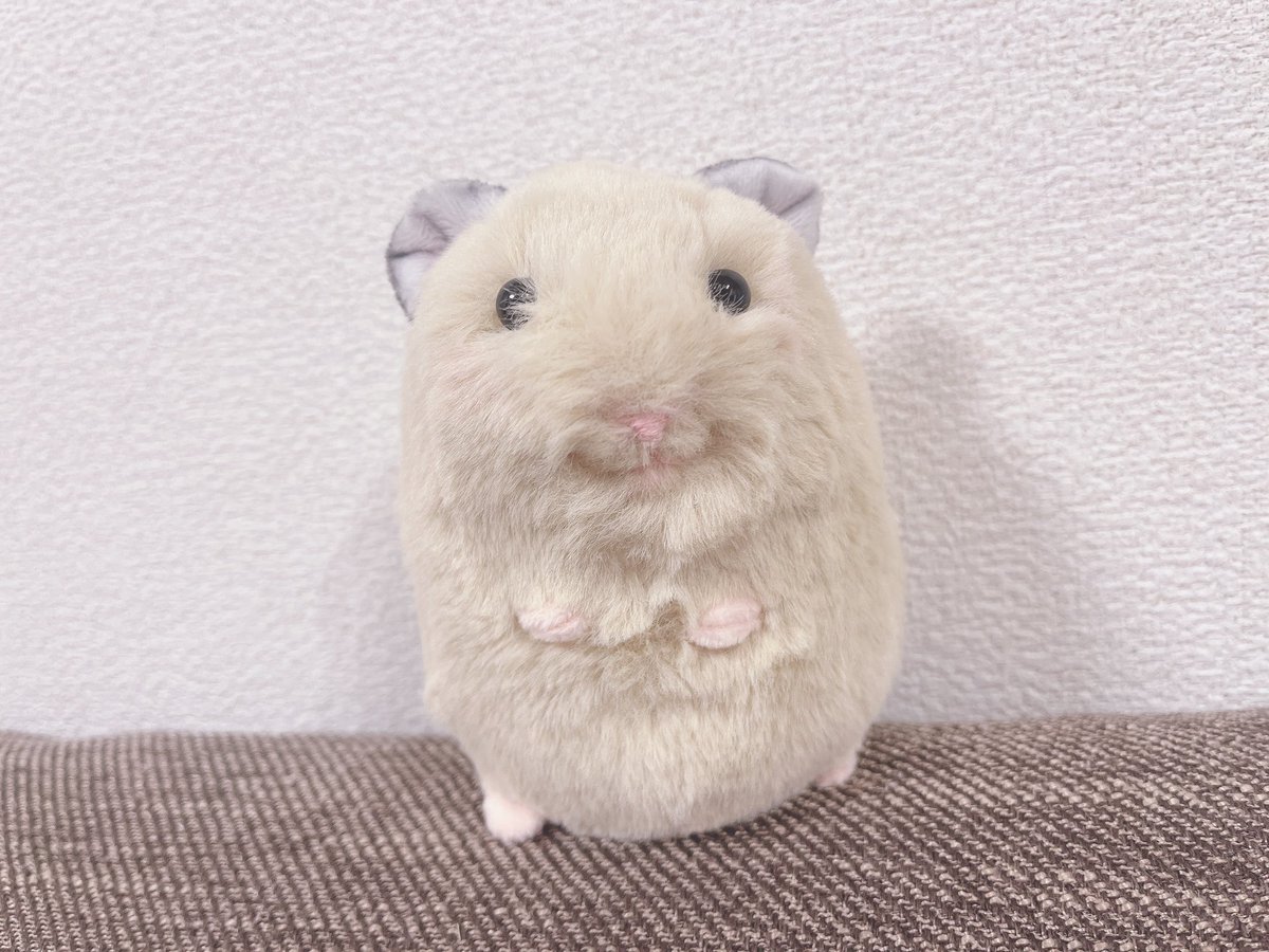 まるちゃん tweet media