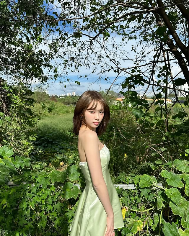 hourly chaewon ☆ tweet media