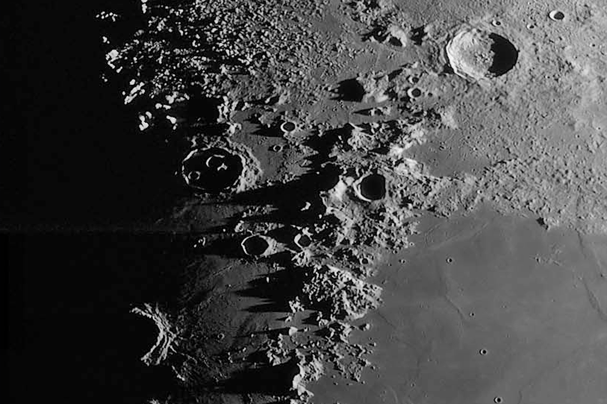 Trini84 🇹🇹 tweet media