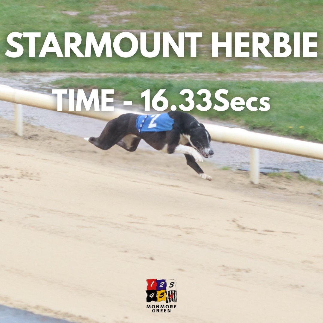 Monmore Green Stadium tweet media