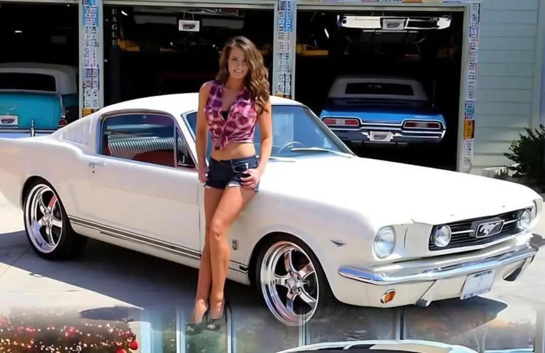 MustangRTeam's tweet image. #Mustang