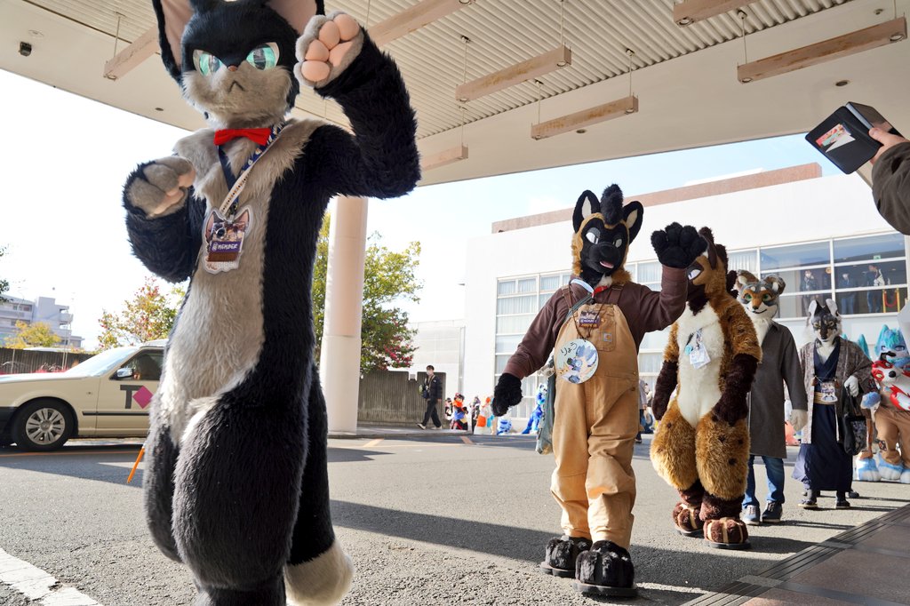 猫の思念体 tweet media