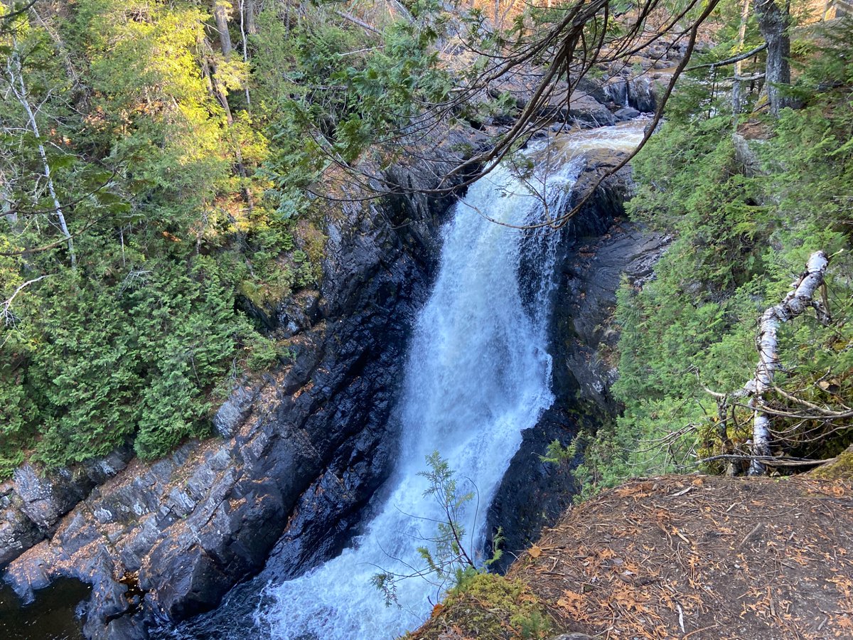 Brotherhood tweet media