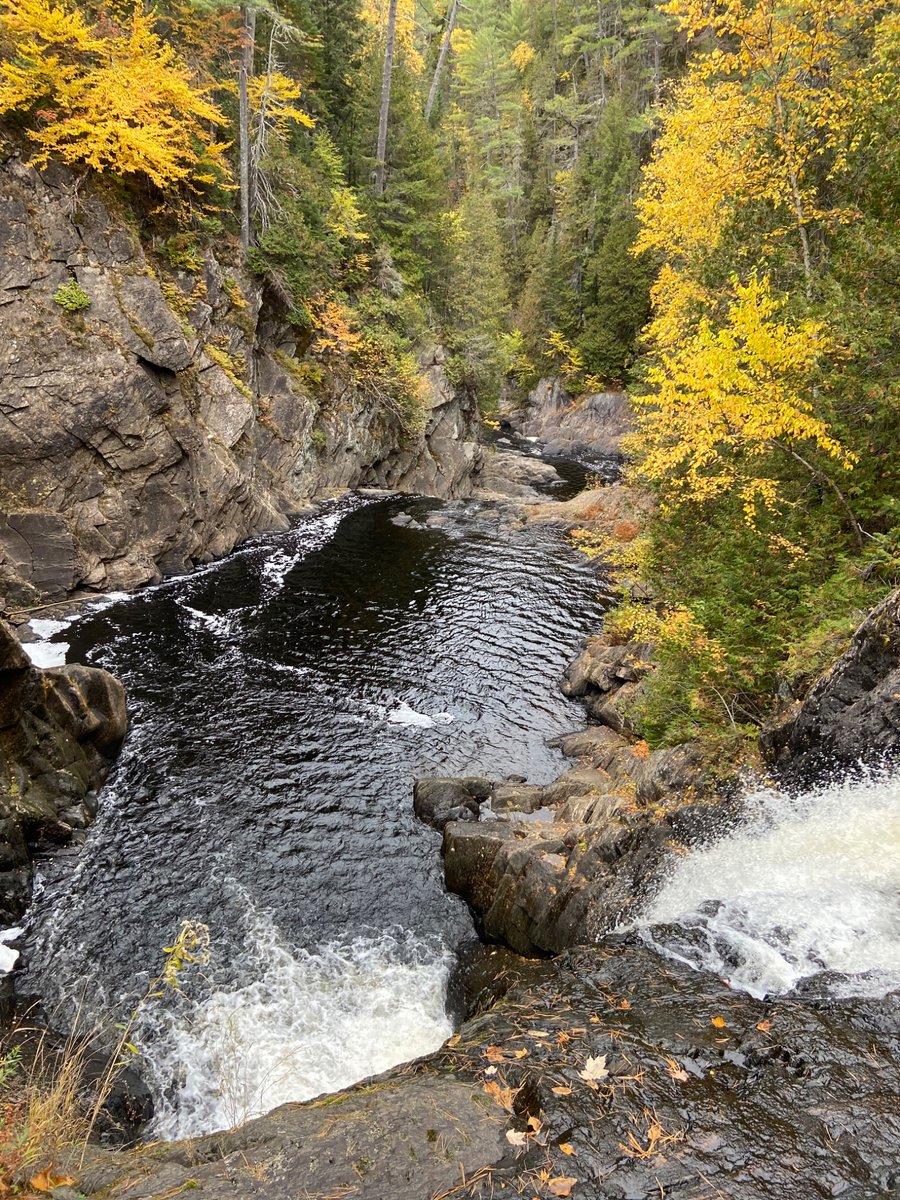 Brotherhood tweet media