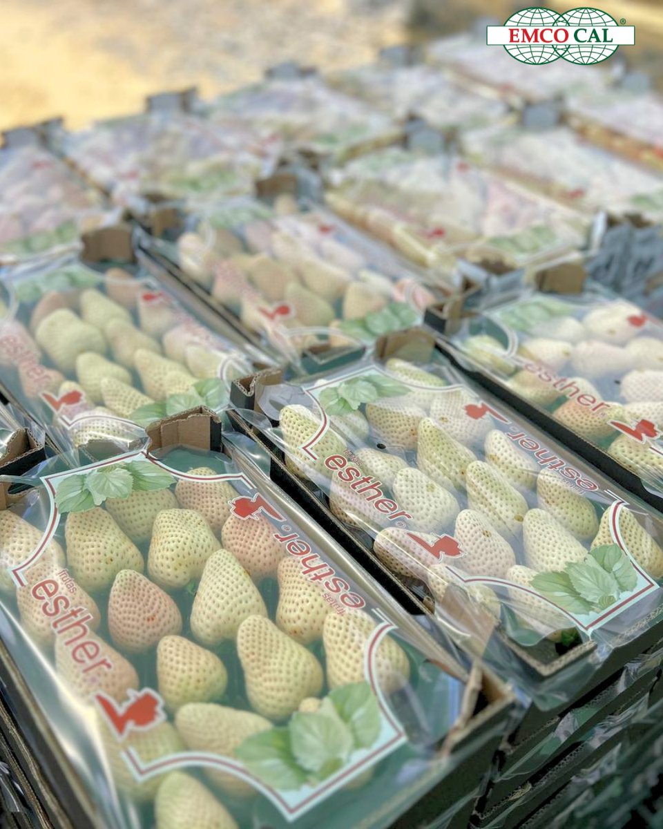 EMCO CAL tweet media