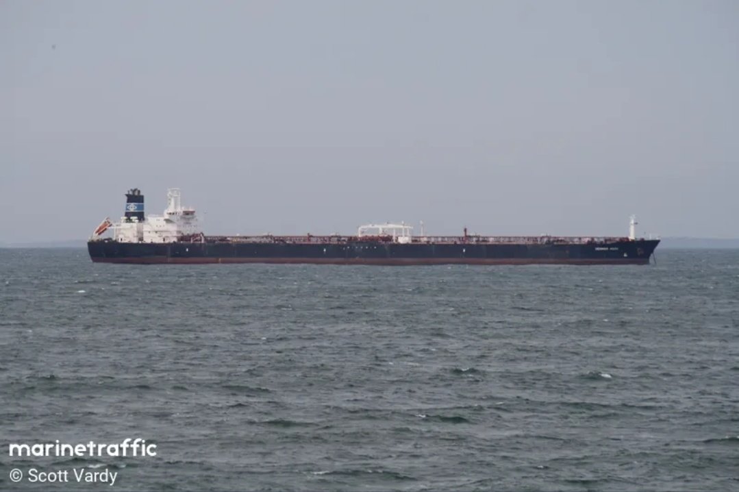 محمد الشحي ☕️ ✍️ tweet media