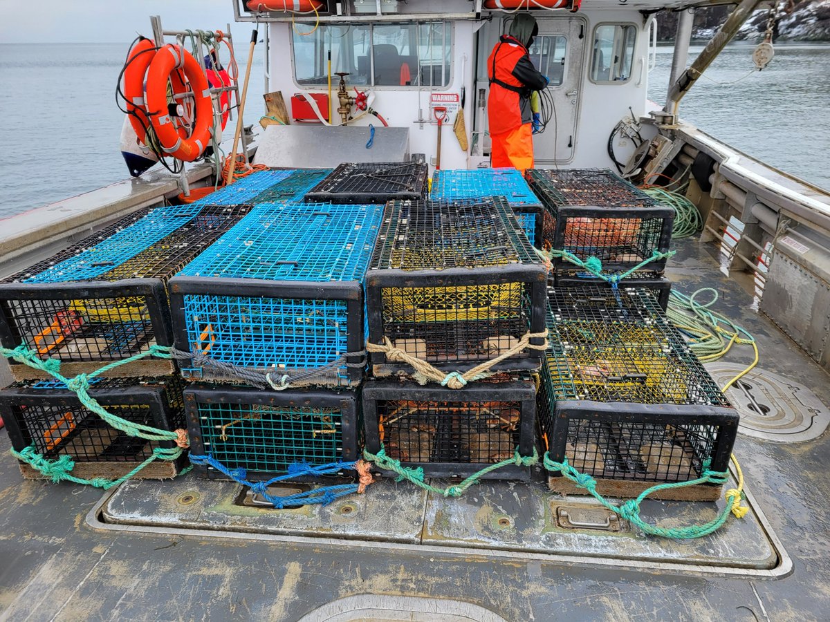 MPO Maritimes tweet media