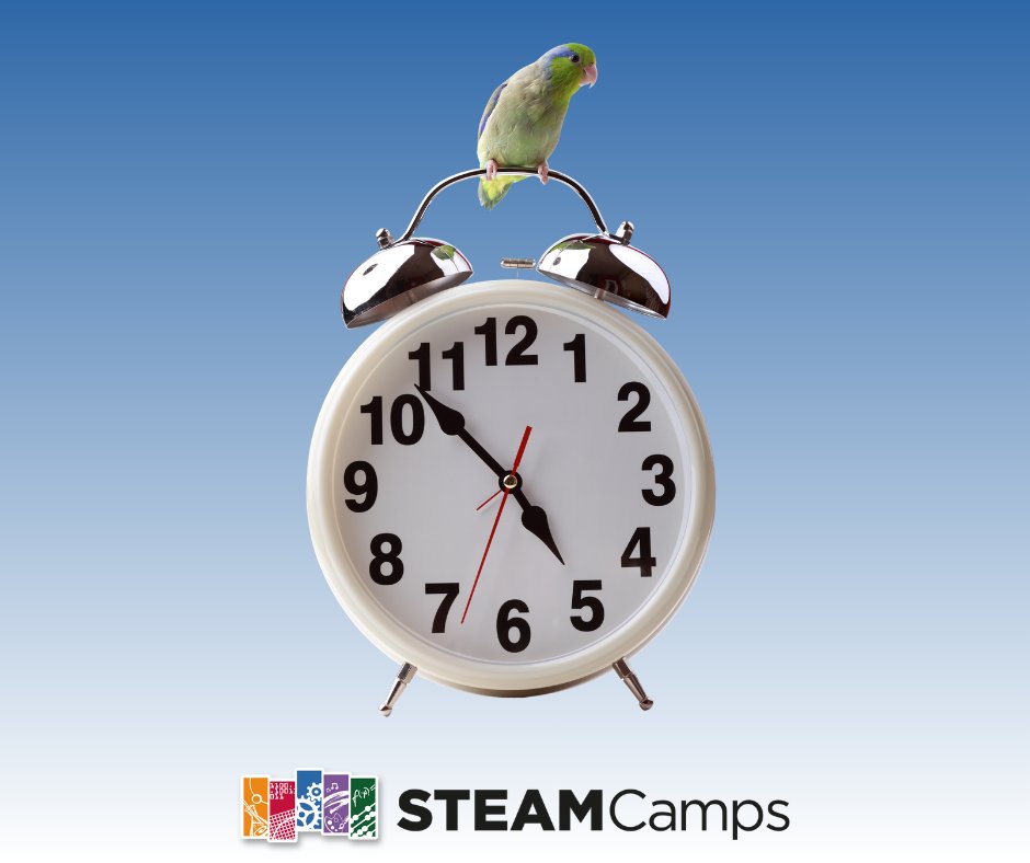 NIU STEAM tweet media