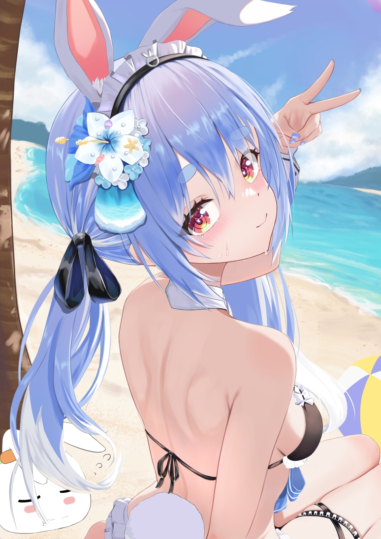 炯（けい）🍎 tweet media