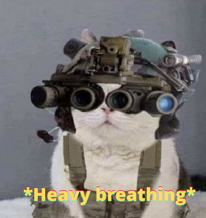 Callsign "MONK" 🇬🇧 🔥🗡️🔫 / Tactical Vtuber tweet media