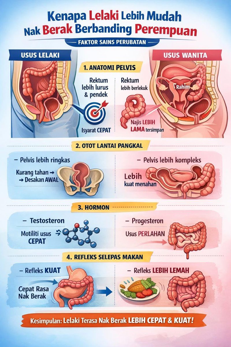 𝘀𝗼𝗳𝗲𝗮 𝘁𝗵𝗲 𝗳𝗶𝗿𝘀𝘁 ⋆𐙚 ̊. tweet media