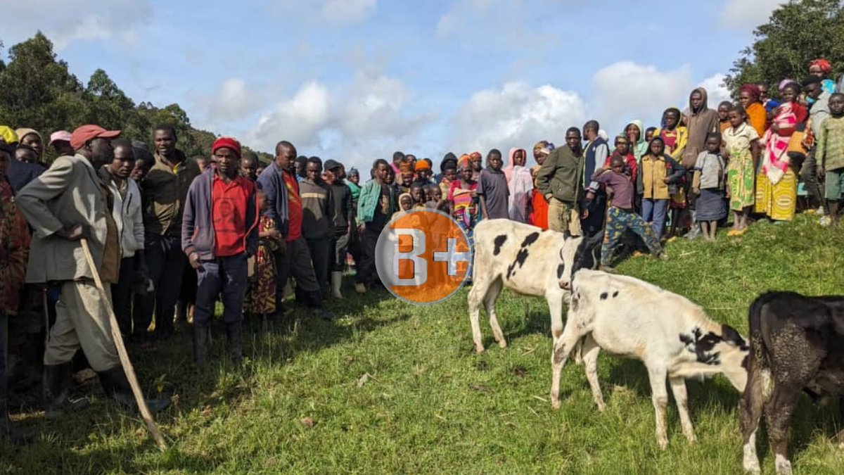 BPlus TV Rwanda tweet media