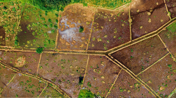 MPF recomenda que Incra defina se área de imóvel rural em Nova Brasilândia (RO) voltará a ser terra pública

Notícia completa ➡️mpf.mp.br/o-mpf/unidades…