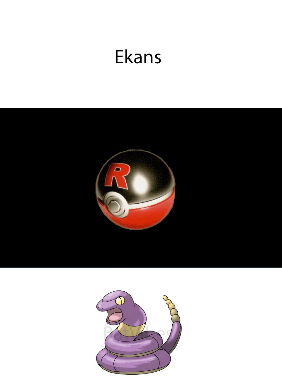 Bat Vibes tweet media