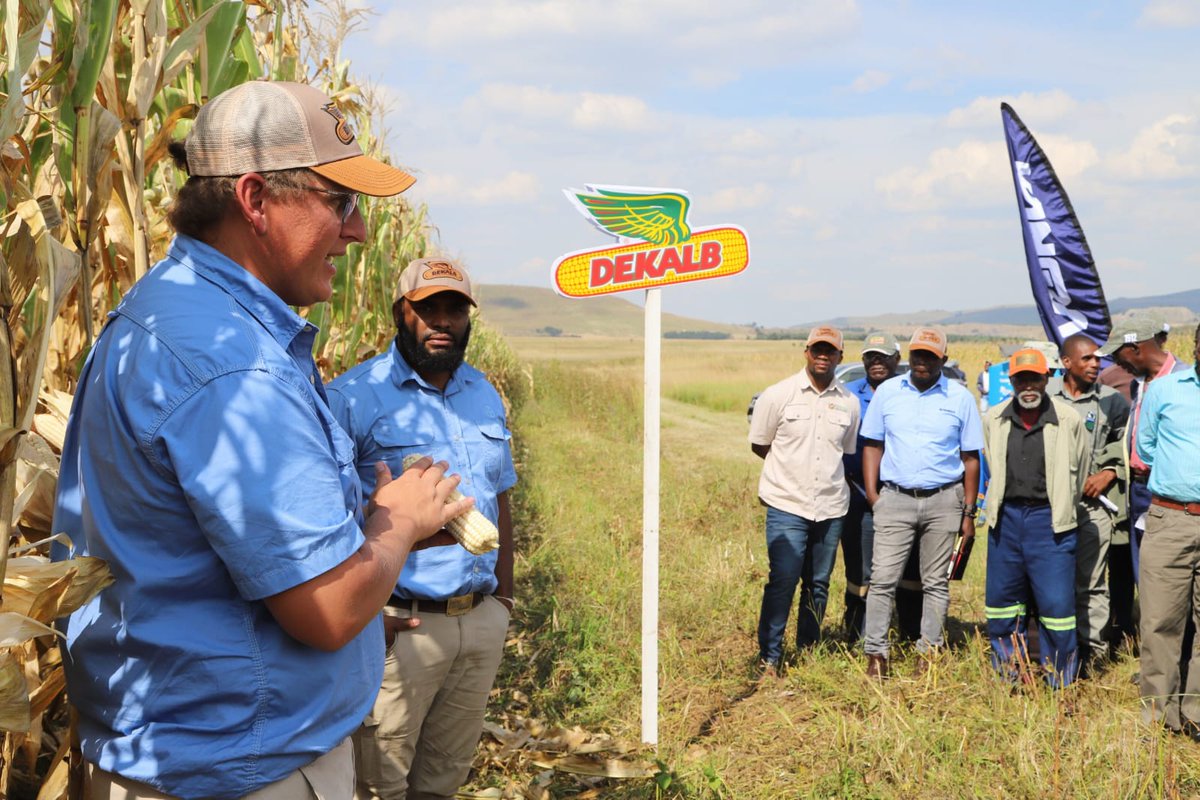 Kangra Coal tweet media