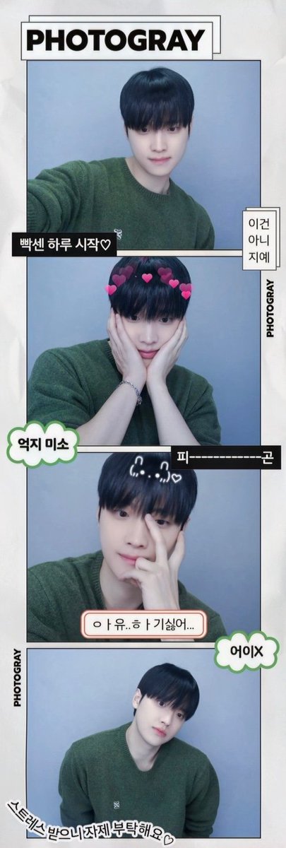 동네주민 tweet media