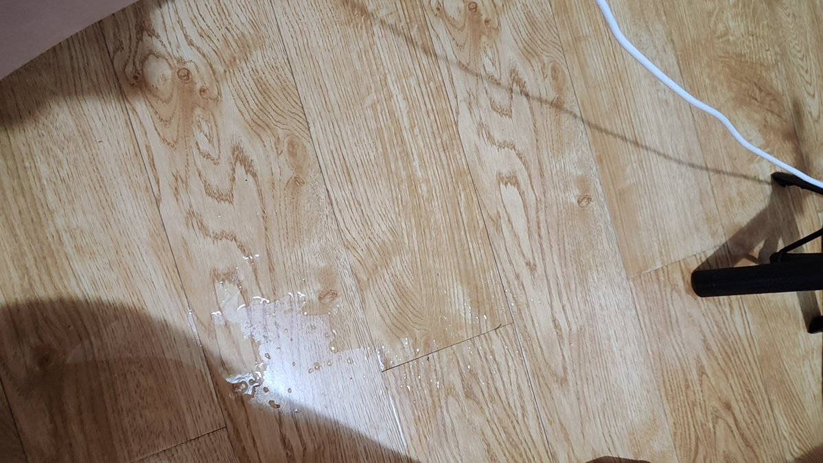 Ireu一x 。.:*♡ tweet media