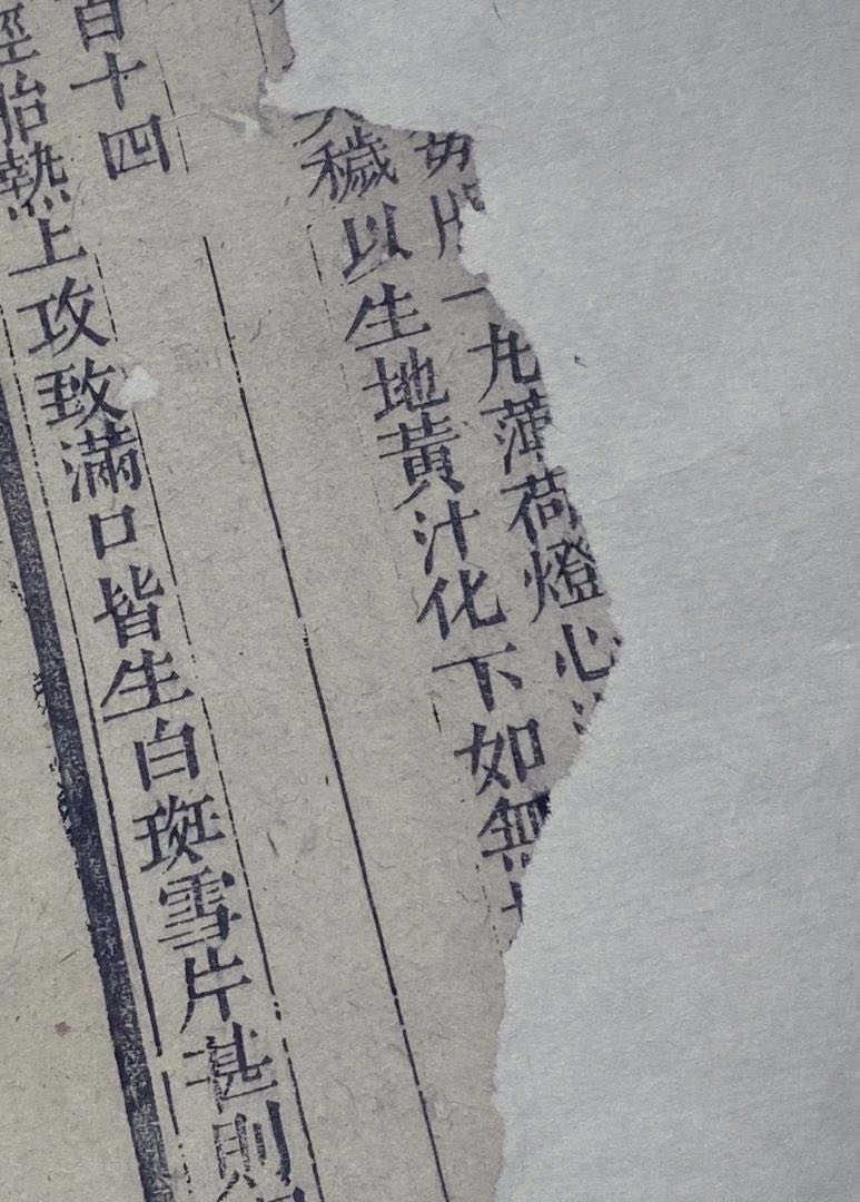 ウエ樣 tweet media