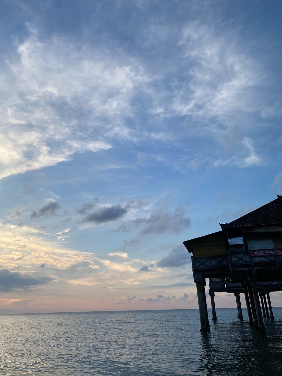 unainu🐛 tweet media