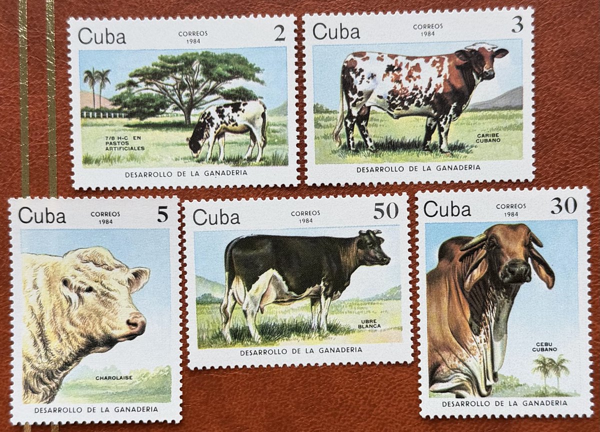 Stamps with cows 🇺🇦 tweet media