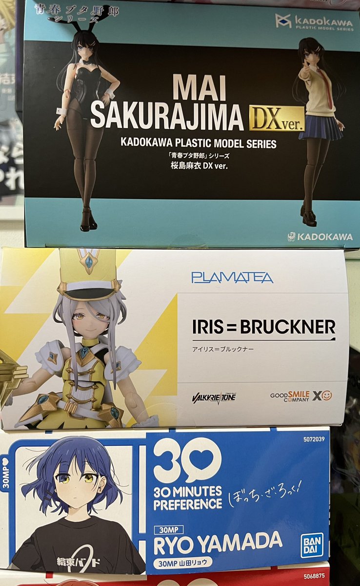 エミリア完成。
はい可愛い。後で塗装しよ。

さてと、作りたいの沢山あるんよなぁ〜。