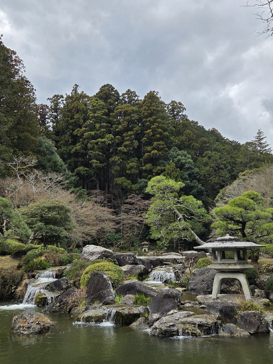 Ny__f's tweet photo. わず https://t.co/ZojtzeVu0V