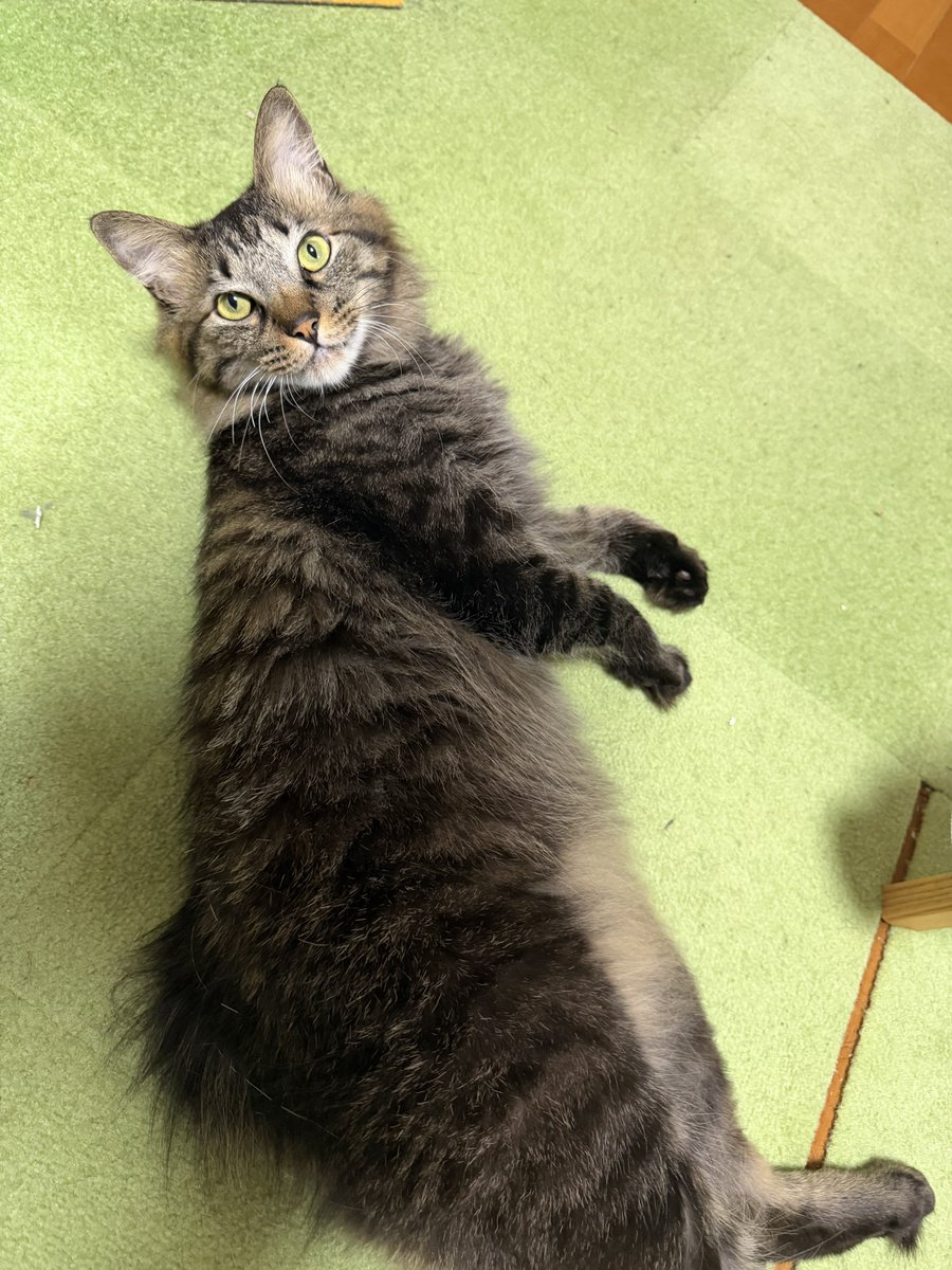 さねあつ tweet media