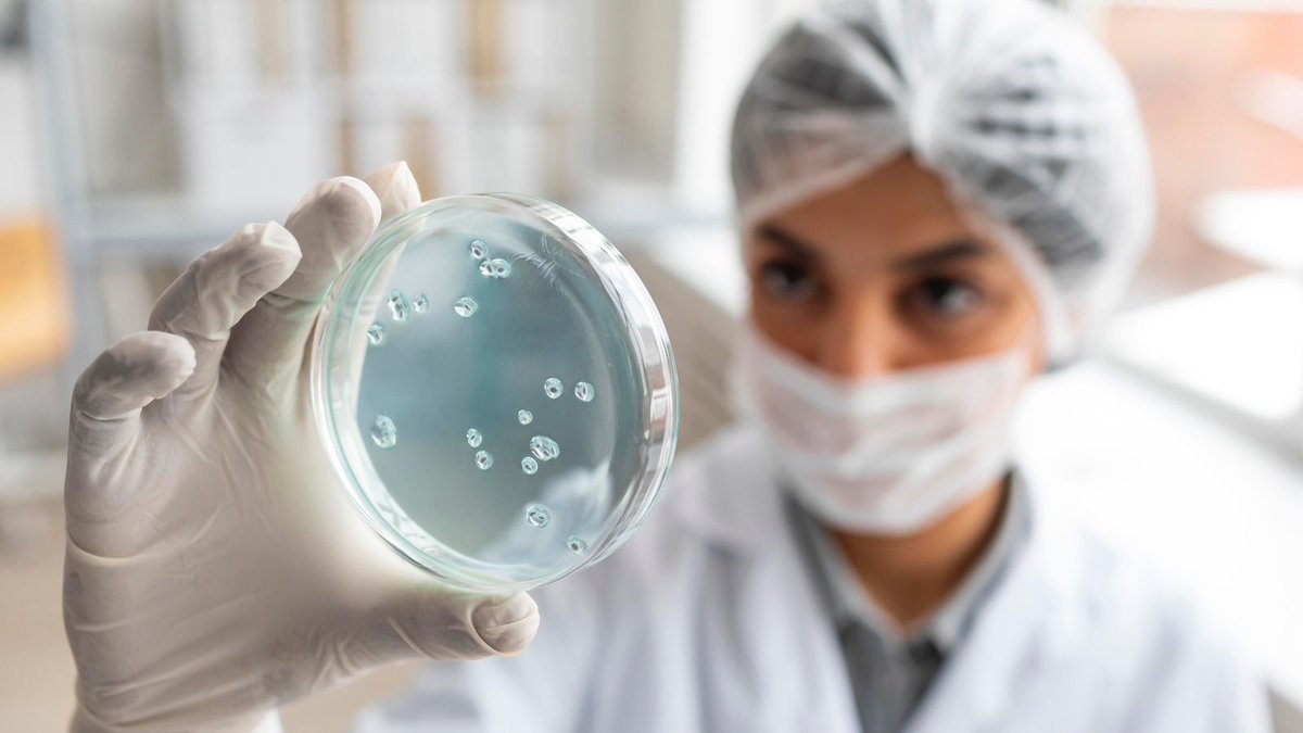 #Maternidade tardia impulsiona técnicas de preservação da fertilidade no Brasil! #maisvocê #bbb26 <a href="/pipacomunicacao/">Pipa</a> faroldabahia.com.br/noticia/matern…