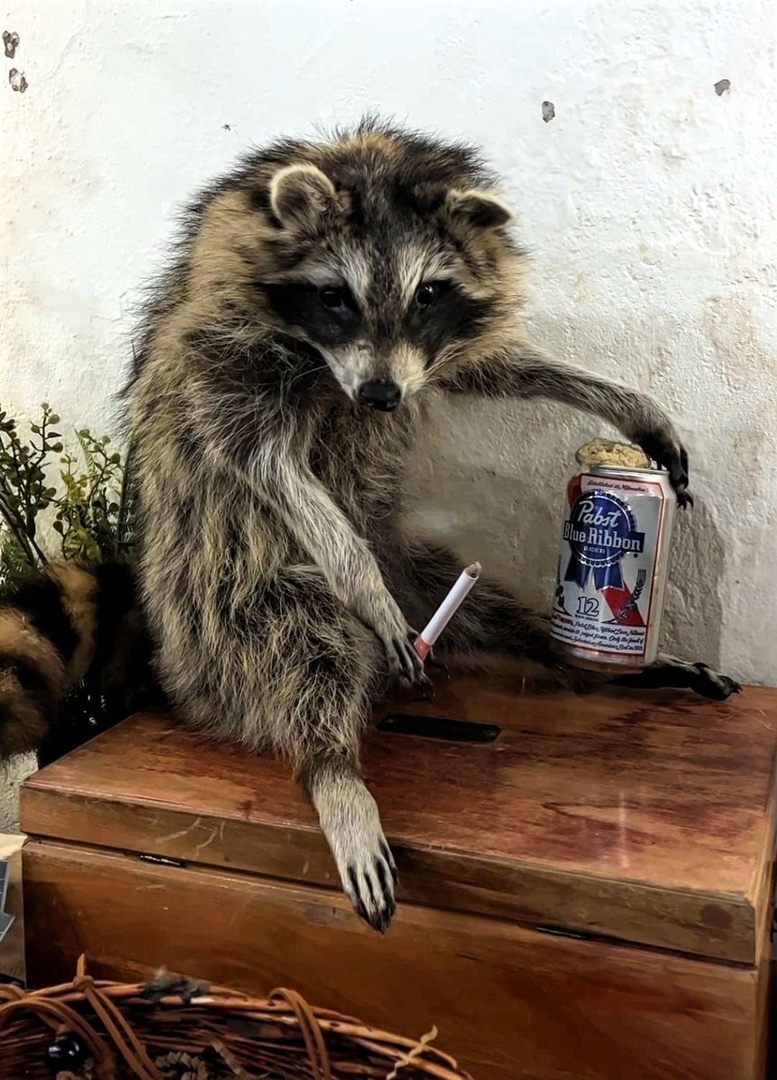 Erik 🇺🇲 tweet media