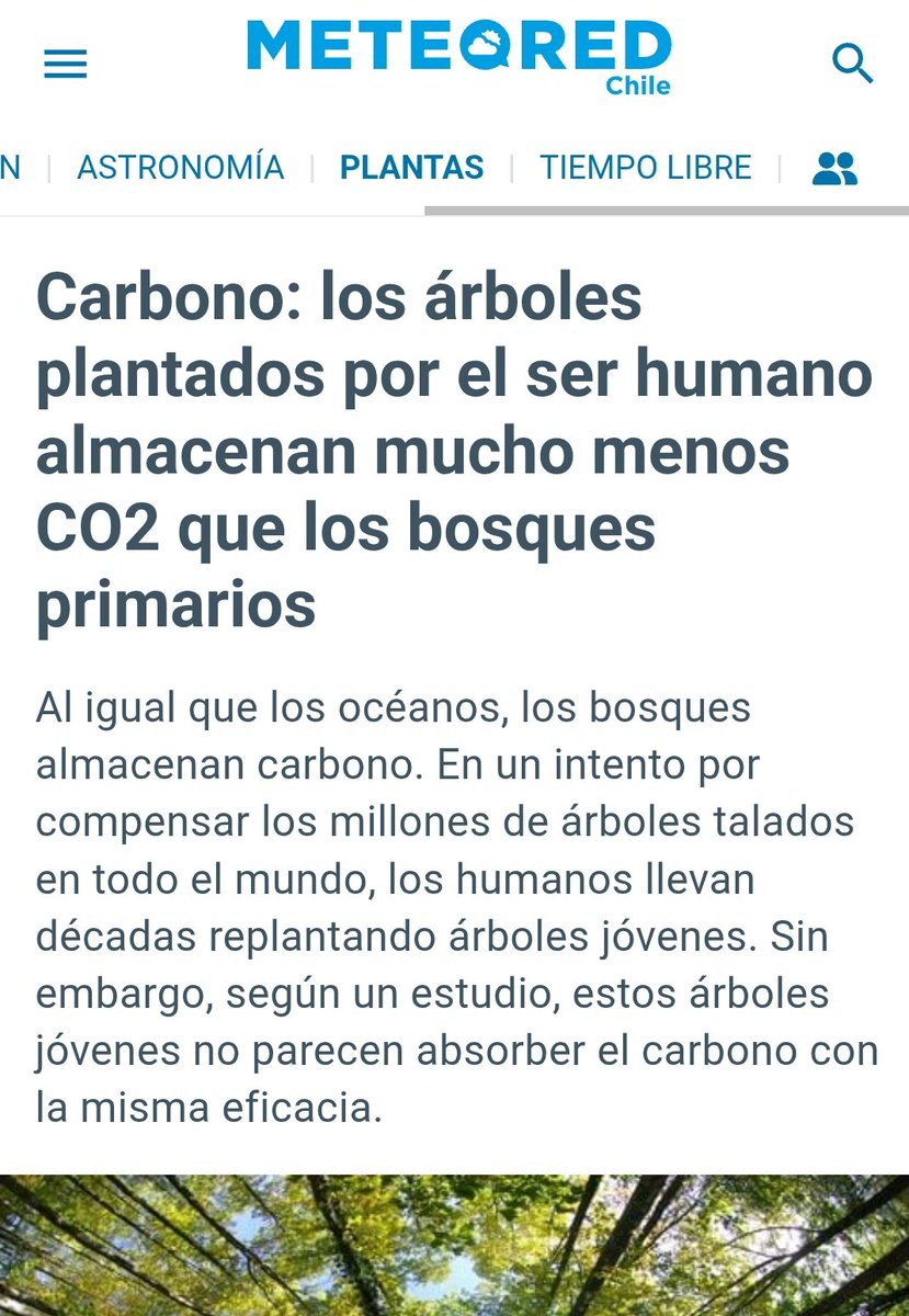 Alex Díaz tweet media