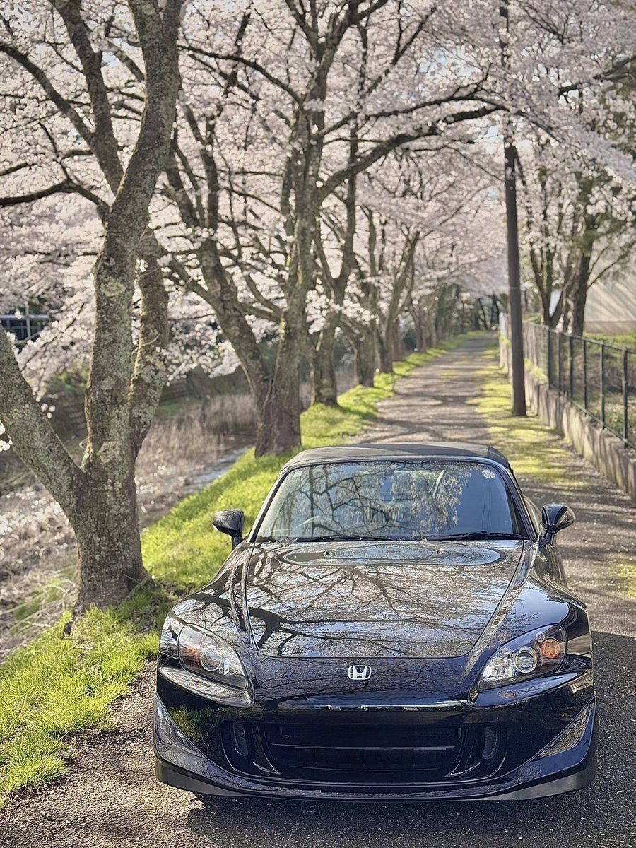 muimui_kuruma's tweet image. #S2000発売日

🌸🌸🌸

 #TypeS
 #AP2
 #SK2
 #S2000