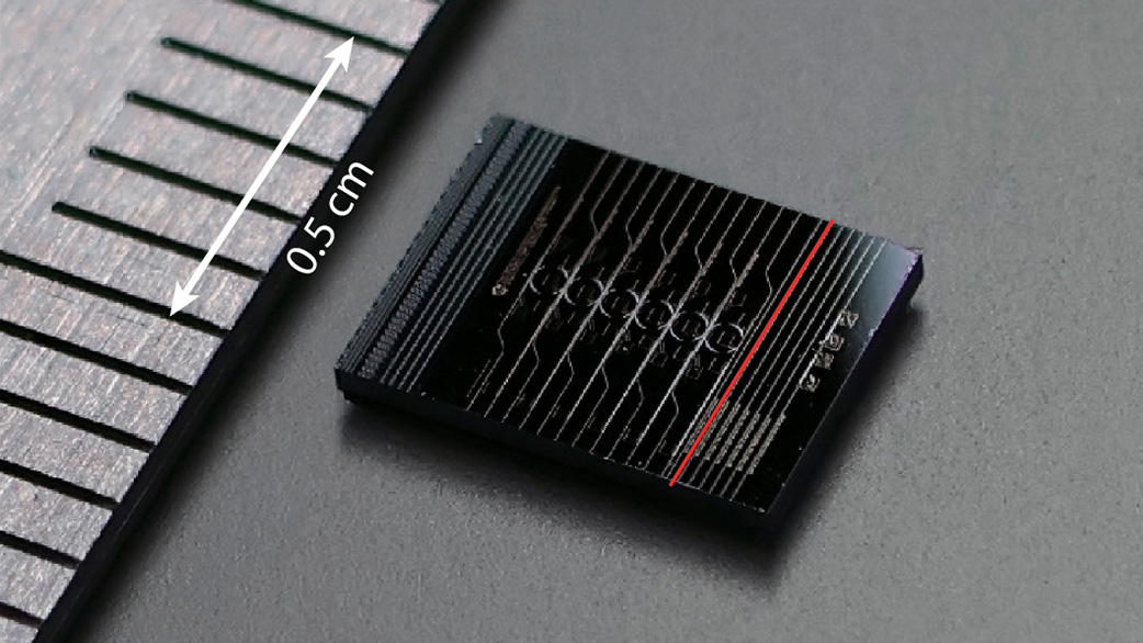 Optica Publishing Group tweet media