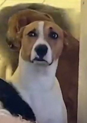 Nine🌸 tweet media