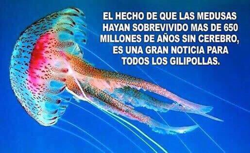 José I. Borrell tweet media