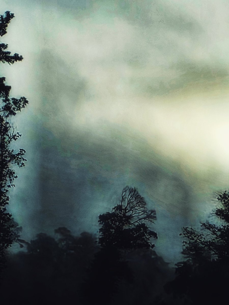 sylviafranco's tweet image. 