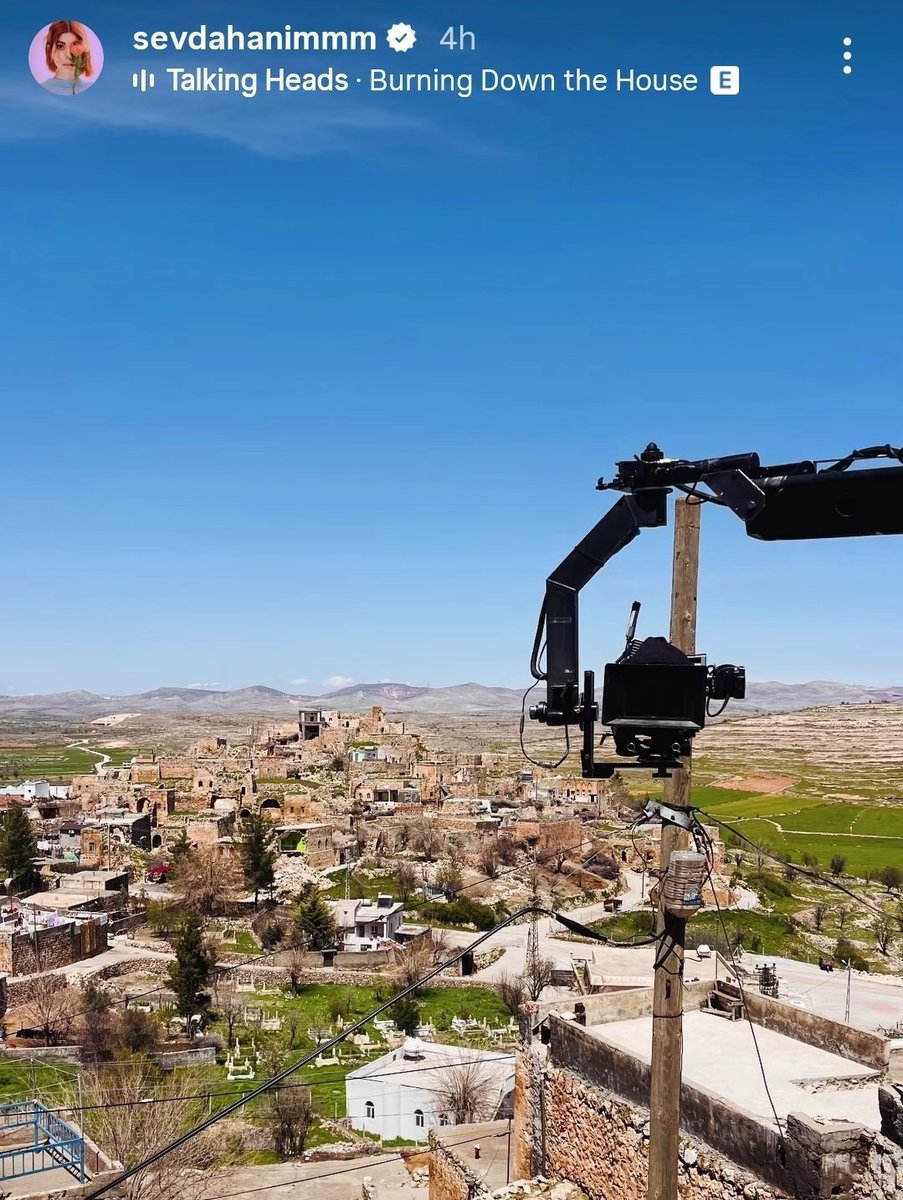 Michigan Girl tweet media