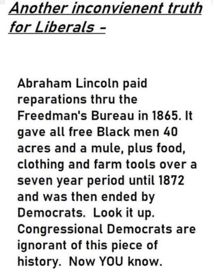 Sara Johanson tweet media