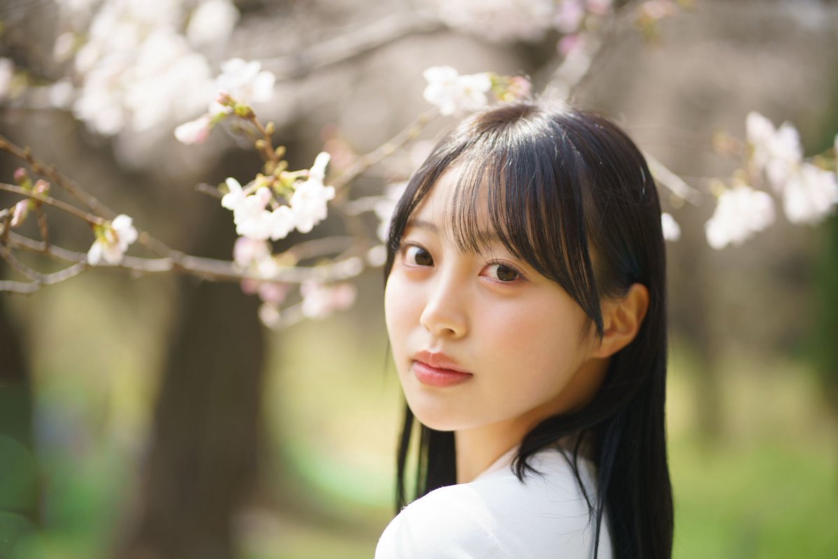 gee up sprout tweet media