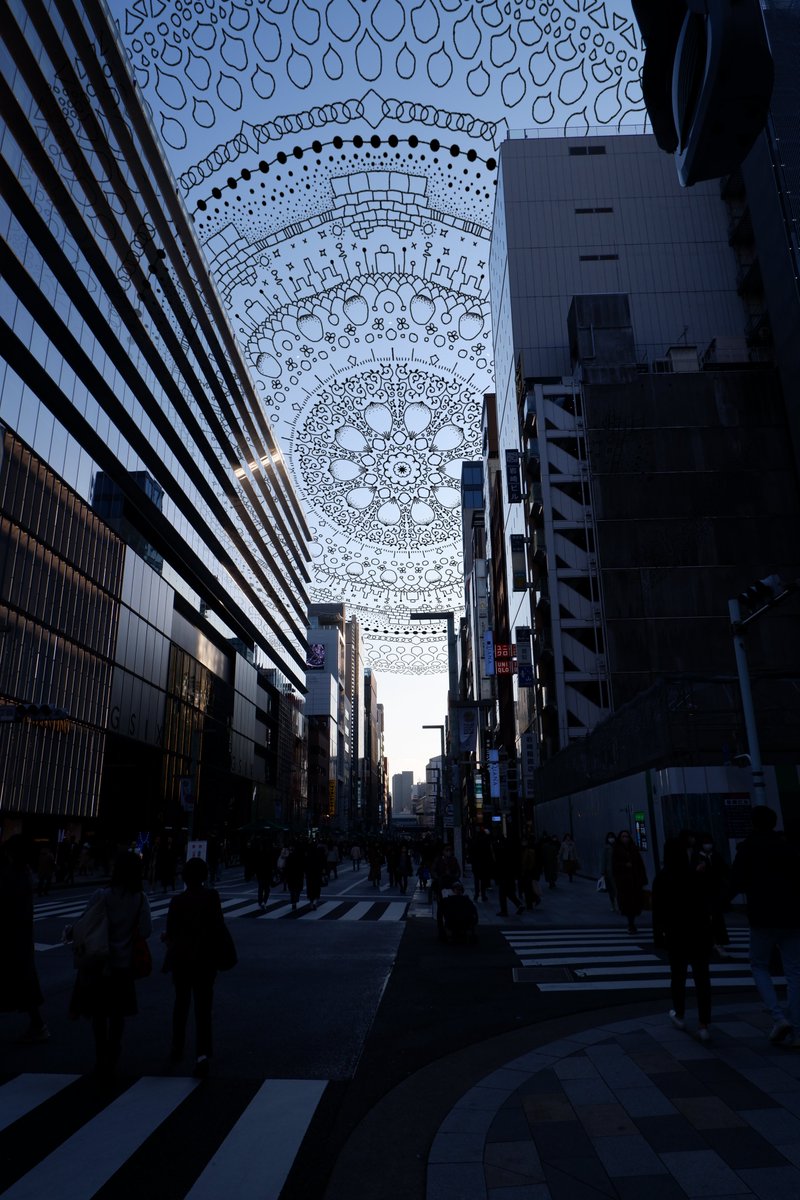 しゃけ tweet media