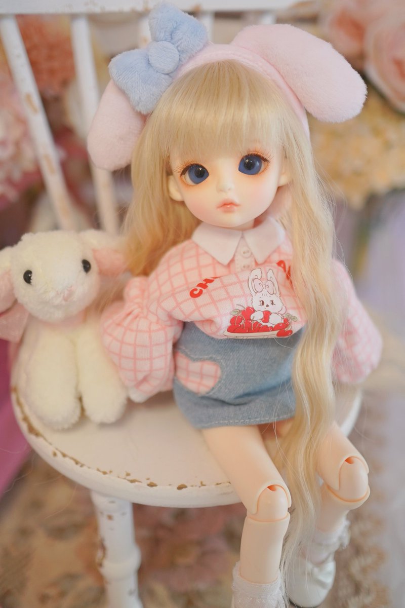 ステラも10歳！これからもよろしくね🥰