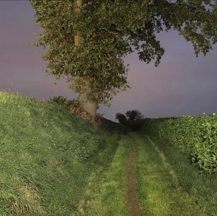 𝕰𝖑𝖊𝖒𝖒𝖎𝖗𝖊 tweet media