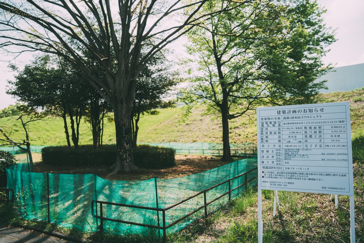 橋本ゆき tweet media