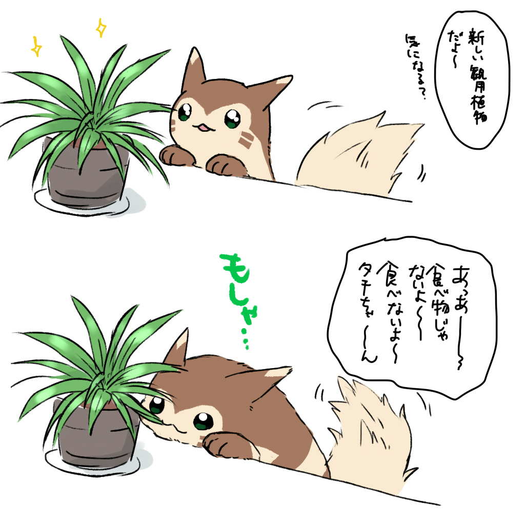 ﾌｪﾆｯｸｽ風空❅🐦‍🔥♌️ tweet media