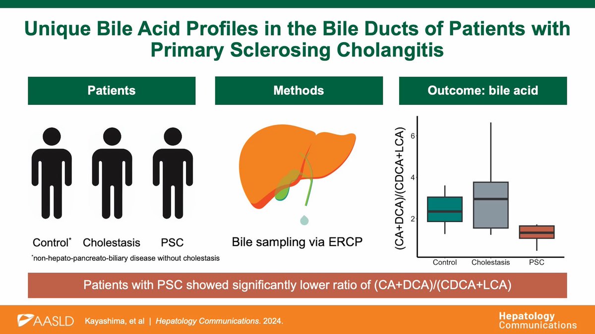 HepCommJournal's tweet image. 📑 Unique bile acid profiles in the bile ducts of patients with primary sclerosing cholangitis❗️
#PSC #LiverX

journals.lww.com/hepcomm/fullte…
