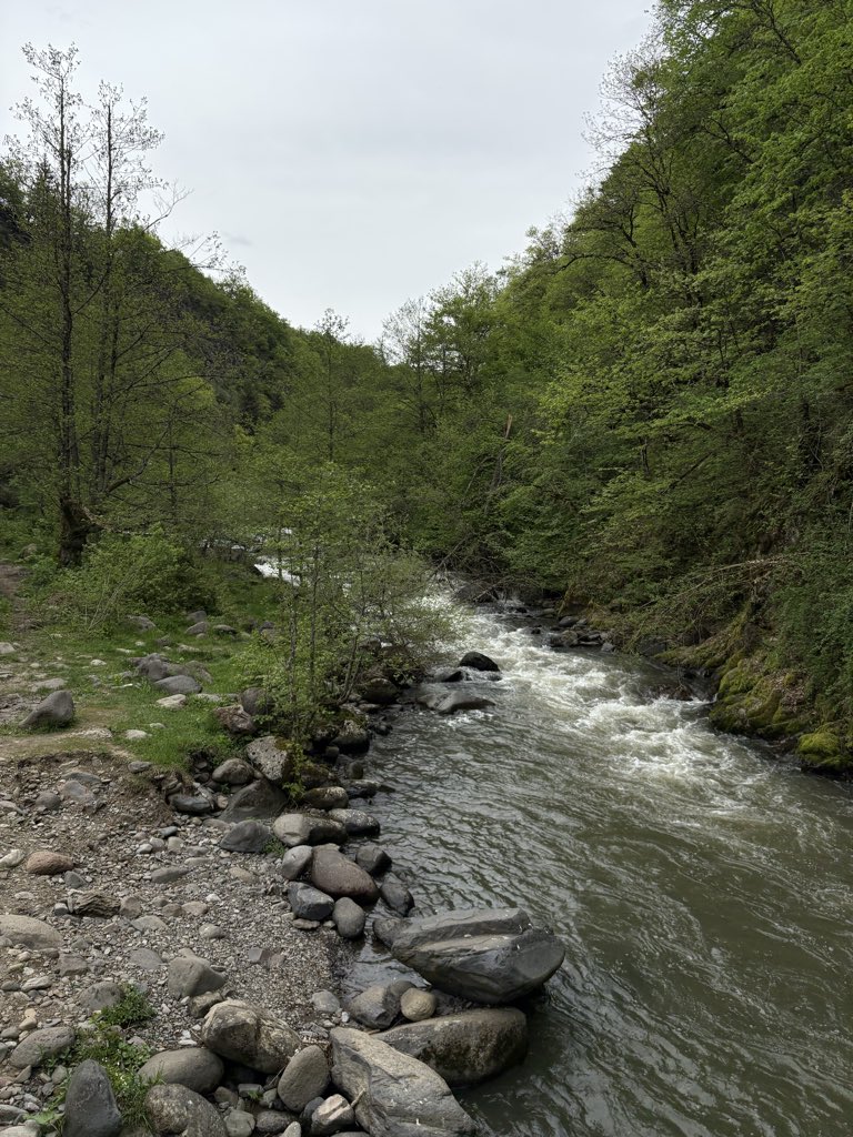 فريّا tweet media