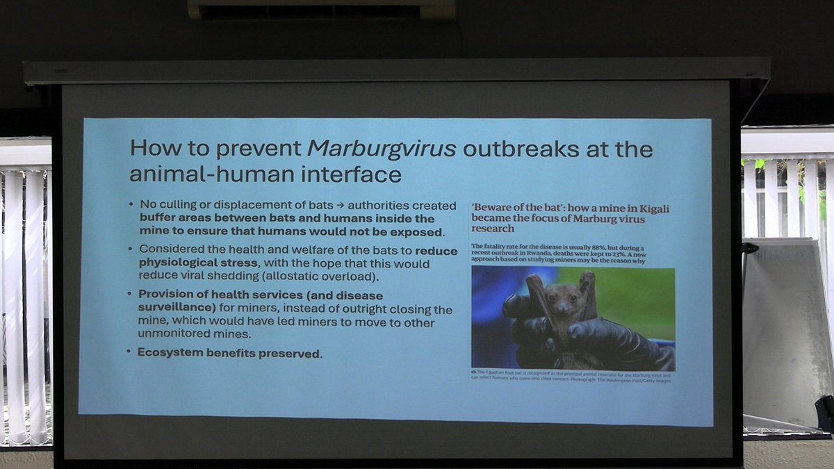 Ministry of HealthZW tweet media