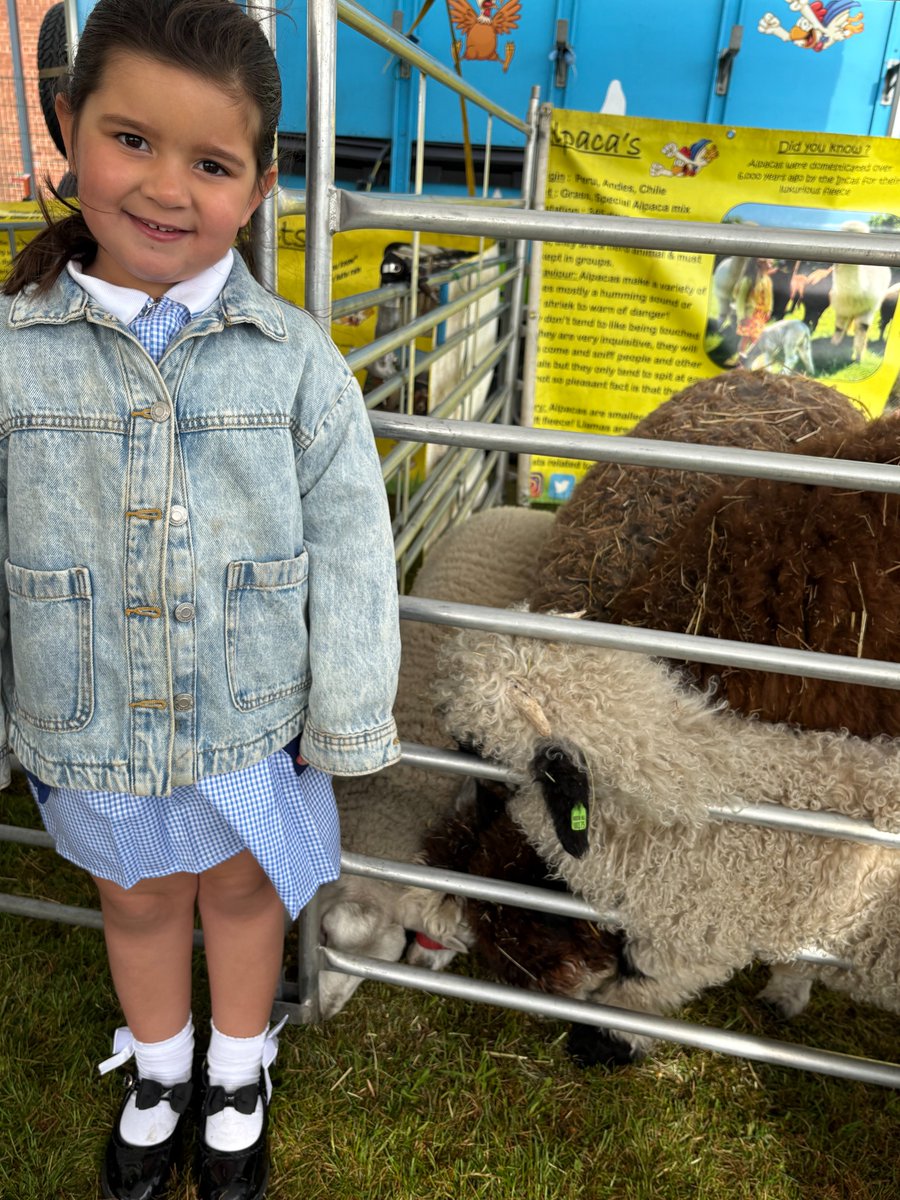 Rowena Academy tweet media